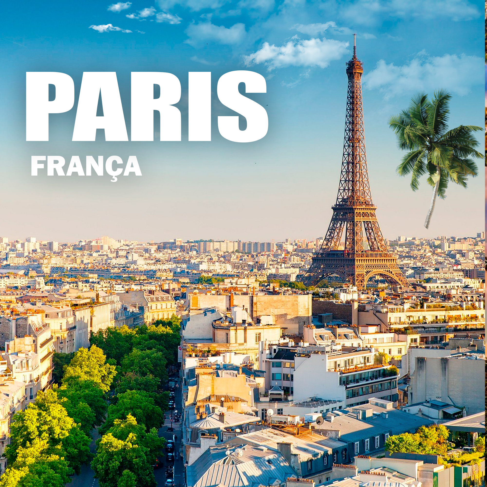 Declarações Anatel